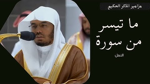 تلاوة فضيلة للشيخ أ.د.ياسر بن راشد الدوسري لسورة النمل بمقام وترتيل جميل ورائع من الآسر عشاء السبت