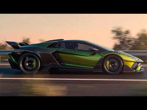 Apex Automotive Reviews