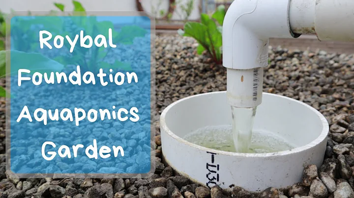 Roybal Foundation - Aquaponics Garden