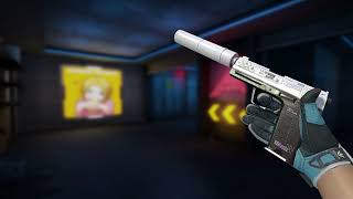 Usp-S Printstream Well-Worn