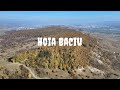 Hoia Baciu Forest (Most haunted forest in the world) Cluj Napoca Transylvania 4K
