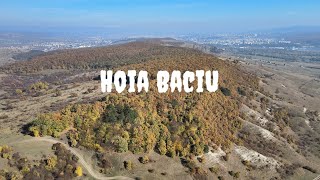 Hoia Baciu Forest Most Haunted Forest In The World Cluj Napoca Transylvania 4K