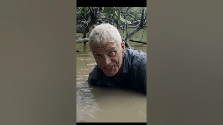 Monster Alan fish#subscribe