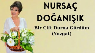 Nursaç DOĞANIŞIK - Bir Çift Durna Gördüm Durur Dallarda(Yozgat) Resimi