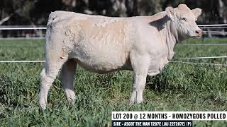 LOT 200: ASCOT POPPY W207E AI P RF