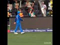 Girl reaction on virat kohlis catch goes viral  viratkohli  catch todaycricketshorts trending