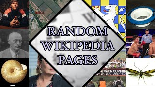 Can I Summarize 10 Random Wiki Pages In 10 Minutes?