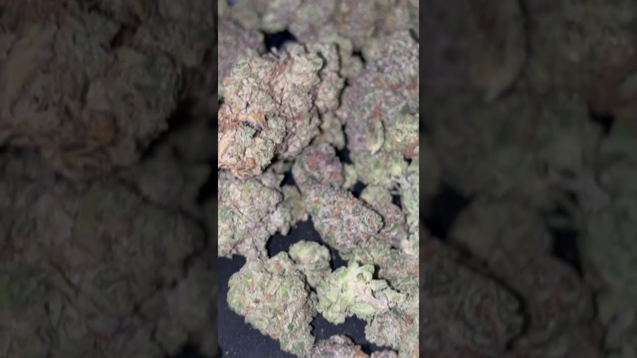 you like indica or sativa？