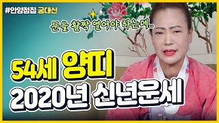 2020년 67년생 양띠운세/ 54세 양띠 신년운세/ 문은 열리는데 좀 답답한 면이 있어요! 자녀에게 잘 하…