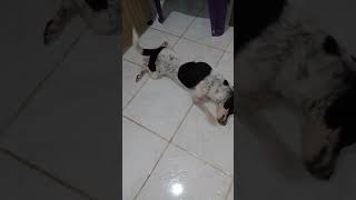 Cristal Tomando Bamho1