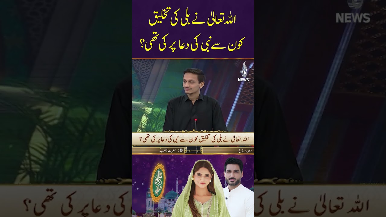 Which Prophet’s Prayer Led to the Creation of Cats? - Ramadan Transmission - 