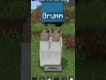 “Minecraft Ka Secret Name System 😳 (100% Real?)”