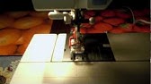 21+ Pfaff Creative 7570