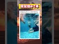 泳いでたら事故ったwwwww #面白い #おもしろ #tiktok #Twitter #2ch #5ch