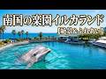 🐬😳ここは夢の国!? 志布志湾イルカランドでイルカが大ジャンプ!!️🐧🐢ふれあい体験や絶景まで、笑顔いっぱいの南国旅🌴🌊✨