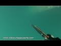 Sériole - Chasse sous marine - GoPro HD caméra embarquée