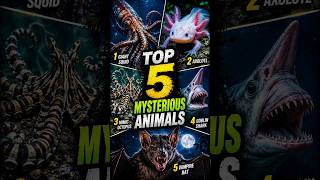 Top 5 Most Mysterious Animals Ever Found 😱🔍