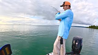 Busy day ended VERY well! /Moreton Bay Fishing
