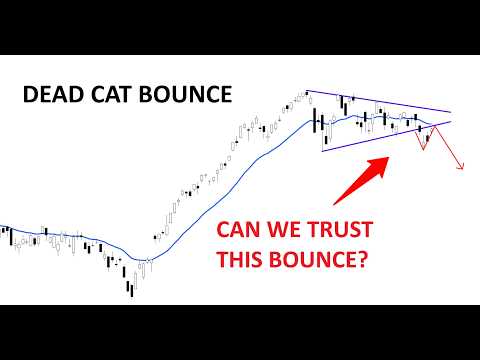 Technical Analysis of Stocks: SPY / QQQ / NVDA / TSLA / AMD / PLTR / ORCL / HOOD