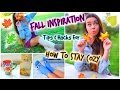 Fall Inspiration! How To Stay Cozy! Fall Outfits, Music, Food & Life Hacks!