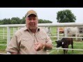 Johnny Lee Episode #3- Cattle, BBQ's and Much More