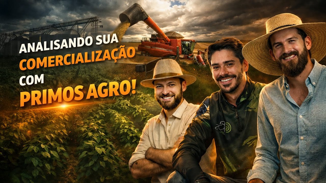 Analisando Sua Comercialização - Edição 03-02-2026