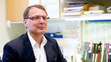 Prof. Ingmar Wester - What role can plant sterols and stanols play in lowering blood cholesterol?