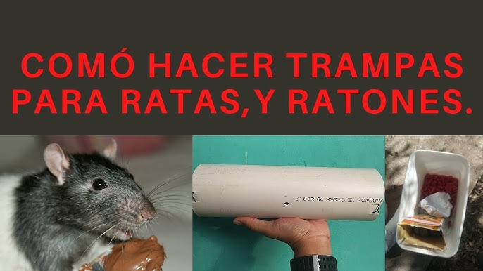 Trampa para ratones de madera p/3 - Control de plagas