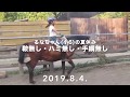 乗馬レッスン遊馬苑  只今レッスン中!  るなちゃん(小学6年生)の巻8/4  初めてのはだか馬