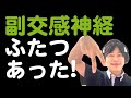 【ベーシック】副交感神経は2種類あった！