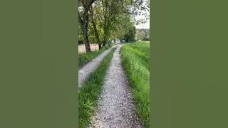 Holiday by Anto D'Ryuzaki