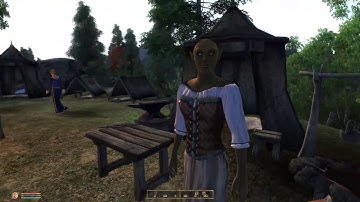 Oblivion NPCs In A Nutshell