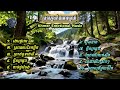 បទភ្លេងកំដរអារម្មណ៍ ១០បទពីរោះៗ | Khmer Emotional Music |