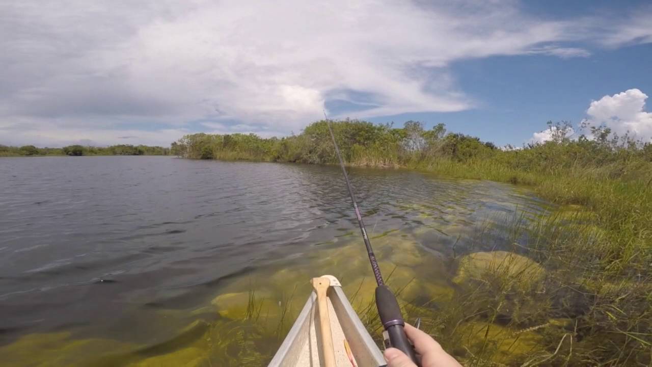 Canoe Fishing Everglades National Park YouTube