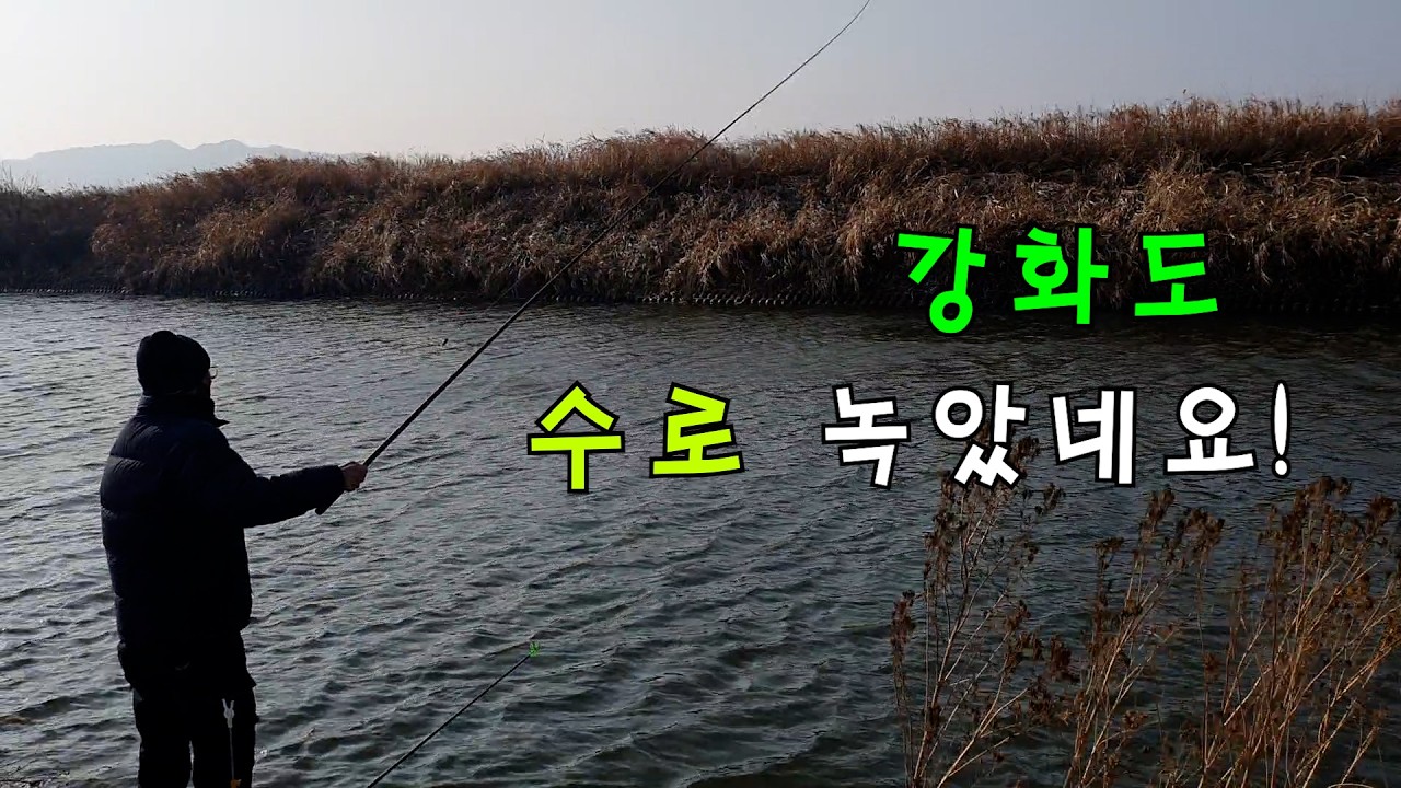 강화도 모든 수로 얼음 녹아 낚시 가능합니다./강화도/낚시/붕어낚시/무료낚시터/힐링낚시