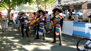 Video thumbnail of "La Bamba - Mariachi Acapulco"