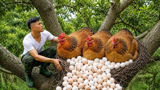 Harvesting Wild Chickens & Fresh Eggs High in the Trees — A Soldier Starts an Off-Grid Life