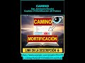 CAMINO MORTIFICACIÓN