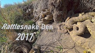 Rattlesnake Den in 4K by Michael Delaney 72,274,711 views 7 years ago 4 minutes, 46 seconds