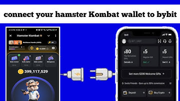 How to connect your hamster Kombat wallet to bybit in minutes.