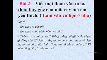 Tuần 22 - Khối 4 - Tập làm văn: Luyện tập miêu tả các bộ phận của cây cối