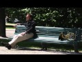 Popular Videos - Abel Pereira & Kurt Redel の動画、YouTube動画。