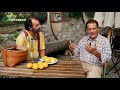 Limone del Garda (BS): Storiche limonaie del Garda