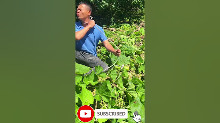 A Child's Big Mistake Turned Into an Unforgettable gift #entertainment #comedy #shortsvideo #shorts