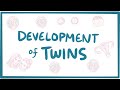 Development of twins