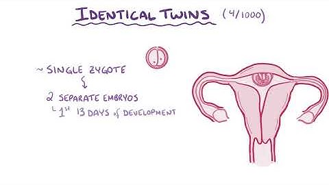 Development of twins