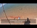 A paradise island beach with a million fish #wildlife #fishing #australia #northernterritory