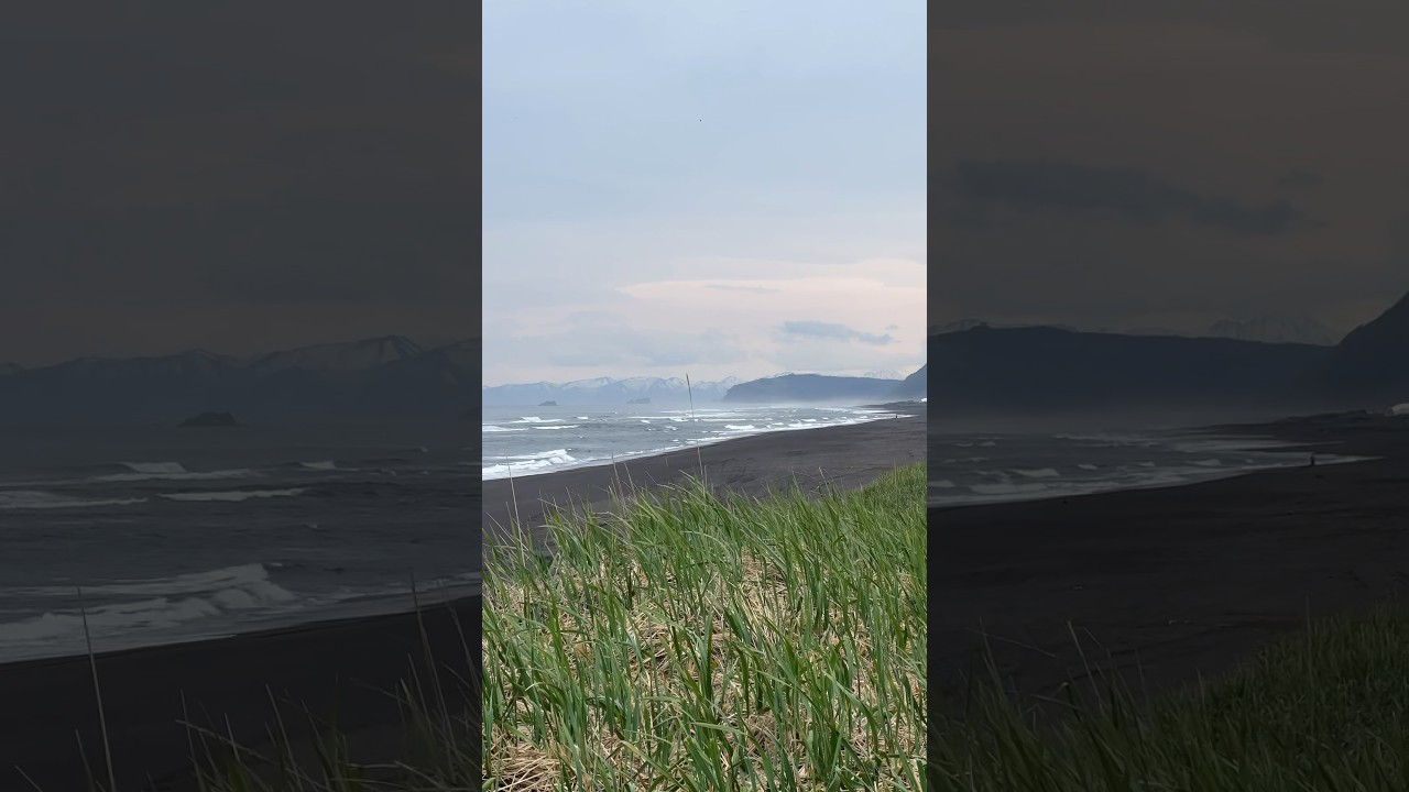 На берегу океана🤍 