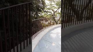 Damdama Lake View Gurugram 01