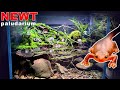 NEWT PALUDARIUM WATERFALL SETUP: *FINISHED* || MD FISH TANKS